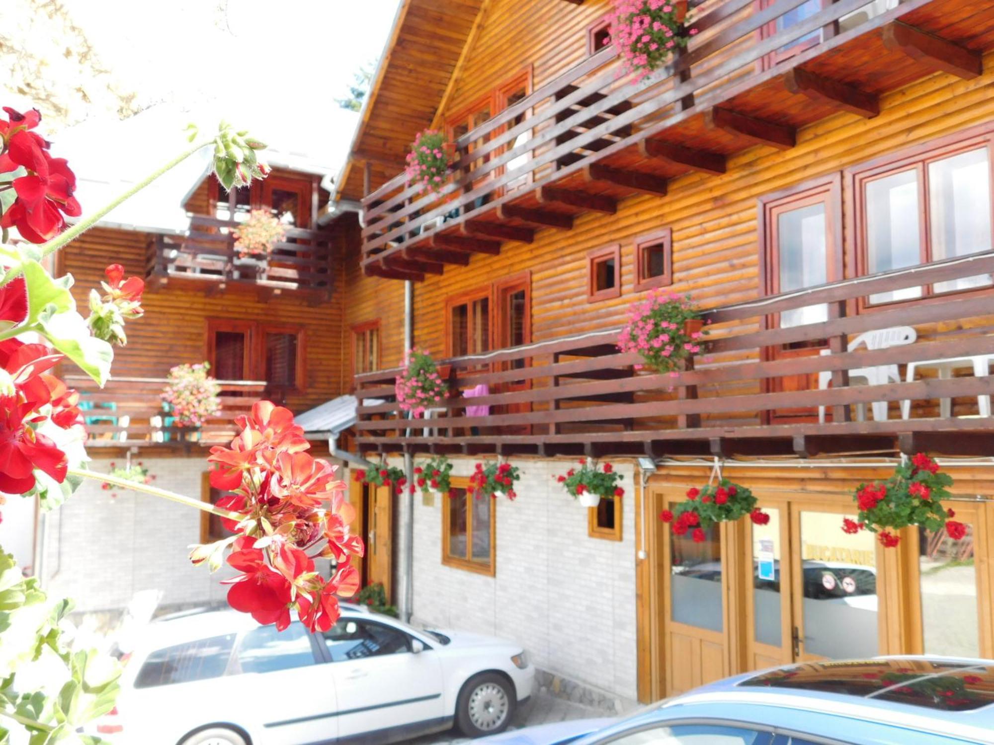 La Cristina Hotel Sinaia Bagian luar foto